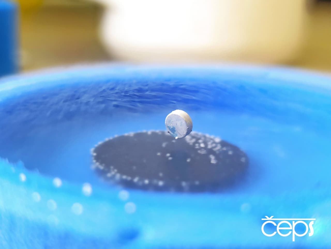 IMG 20211103 082701 1