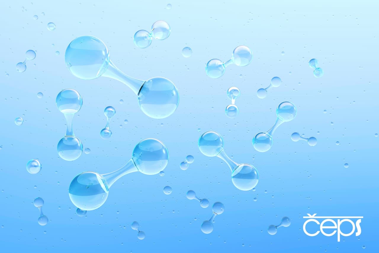 shutterstock 1956514240 1