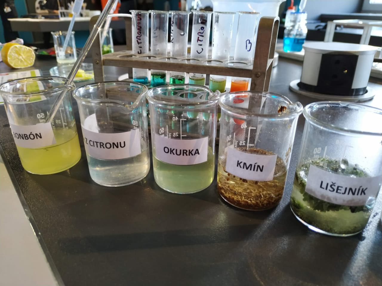 2022 04 iQL WS priroda ve zkumavce