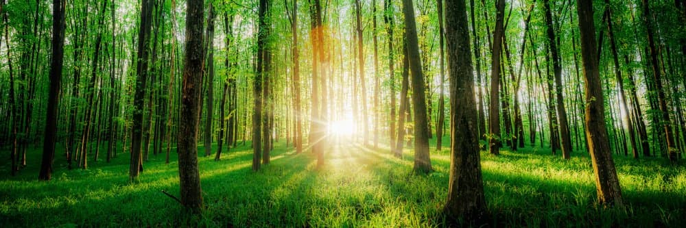 shutterstock 1730283514